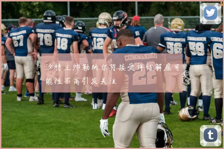 沙特主帅勒纳尔将接受评估解雇可能性不高引发关注
