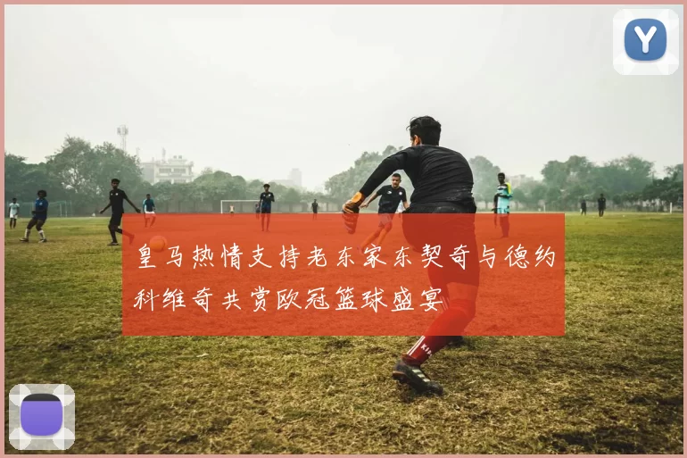皇马热情支持老东家东契奇与德约科维奇共赏欧冠篮球盛宴