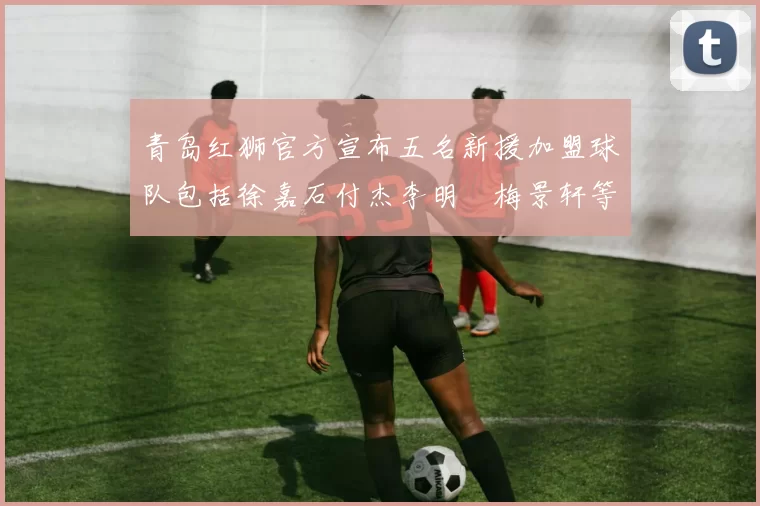青岛红狮官方宣布五名新援加盟球队包括徐嘉石付杰李明璠梅景轩等球员
